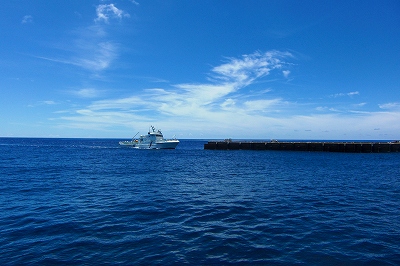 2008-8-8 014.jpg