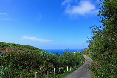2008-9-1 010.jpg