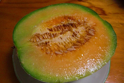 2008-9-1 013.jpg
