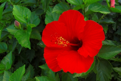 2008-9-12 004.jpg