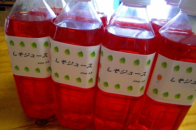 2008-9-15 001.jpg