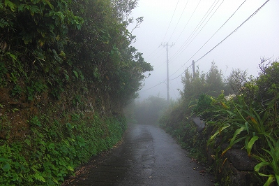 2008-9-17 001.jpg