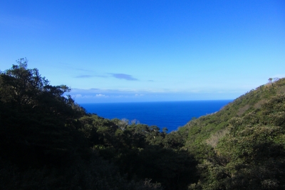 2009-03-08 004.jpg
