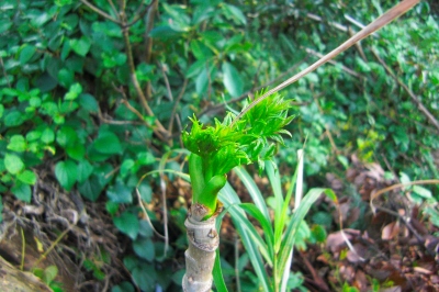 2009-03-08 009.jpg