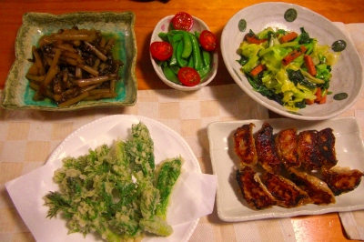 2009-03-08 012.jpg