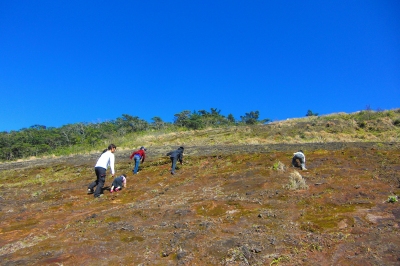 2009-04-02 028.jpg