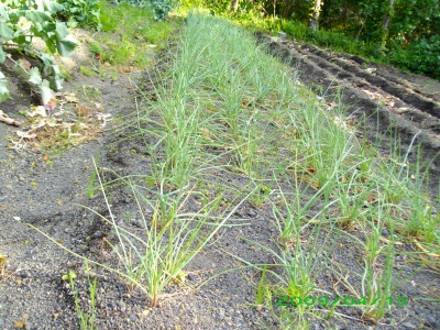2009-04-15 029.jpg