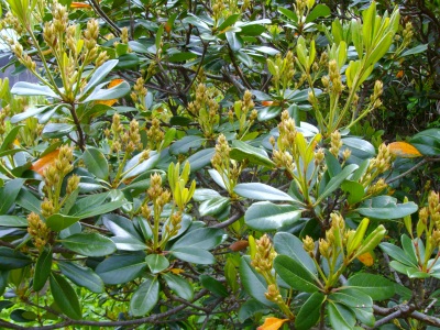 2009-04-20 010.jpg