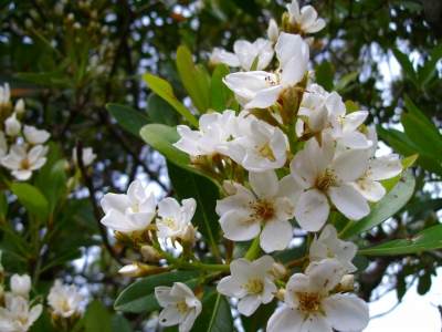 2009-04-20 019.jpg