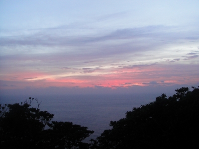 2009-11-16 001.jpg
