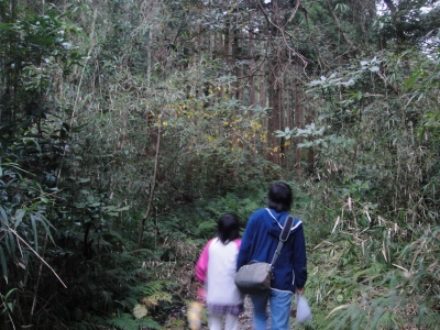 2009-11-24 037.jpg