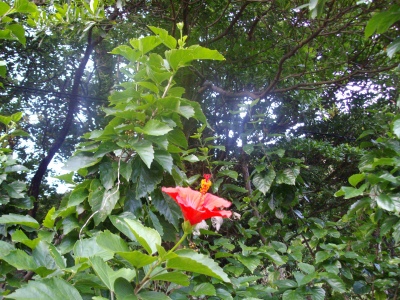2009-11-30 032.jpg