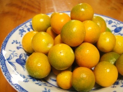 2009-12-31 023.jpg