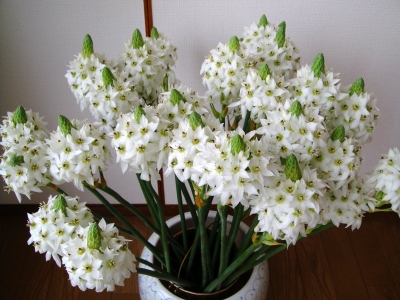 2009-5-13 003.jpg