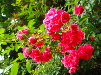 2009-6-01 028.jpg