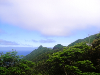 2009-6-07 004.jpg