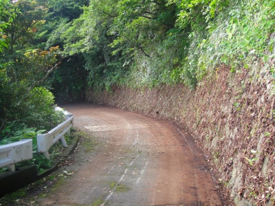 2009-6-07 005.jpg