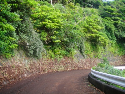 2009-6-07 007.jpg