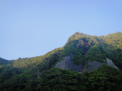 2009-6-07 035.jpg