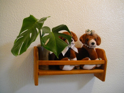 2009-6-12 025.jpg