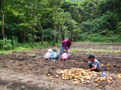 2009-6-14 011.jpg