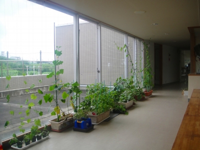 2009-6-18 011.jpg