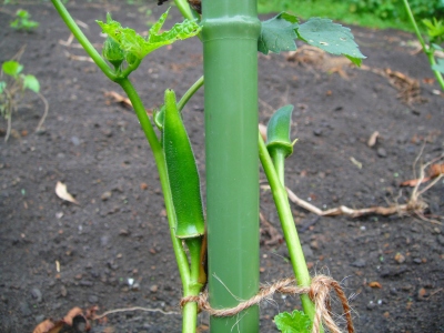2009-6-21 005.jpg