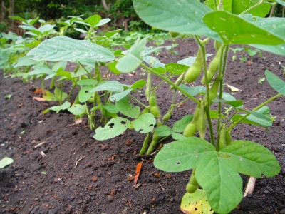 2009-6-21 006.jpg
