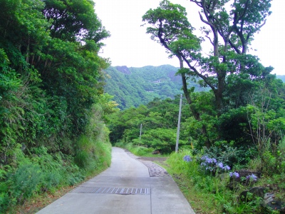 2009-6-21 018.jpg
