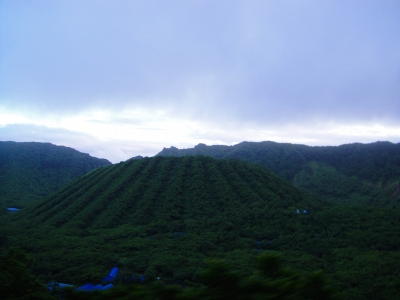 2009-6-21 026.jpg