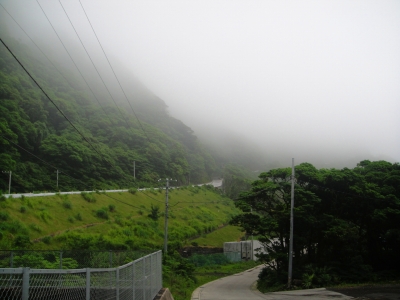2009-6-22 009.jpg