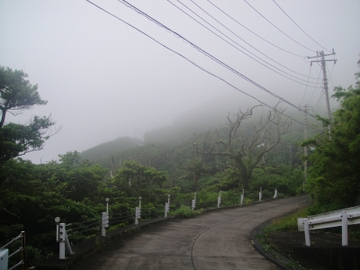 2009-6-24 001.jpg