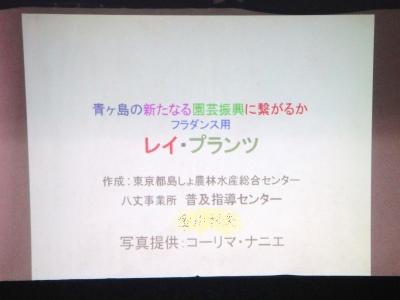 2009-7-16 003.jpg