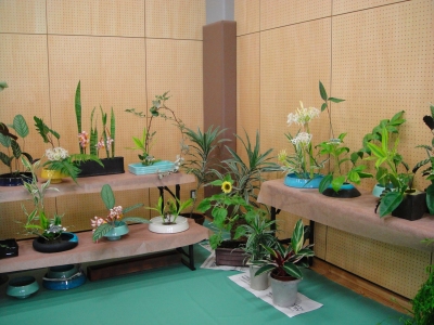 2009-8-11 082.jpg