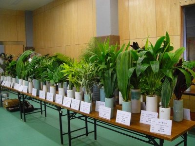 2009-8-11 083.jpg