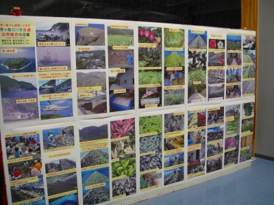 2009-8-11 086.jpg
