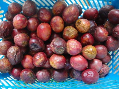 2009-8-16 009.jpg