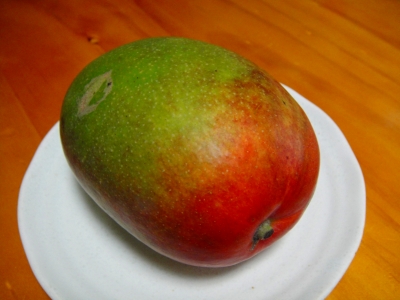 2009-8-16 016.jpg