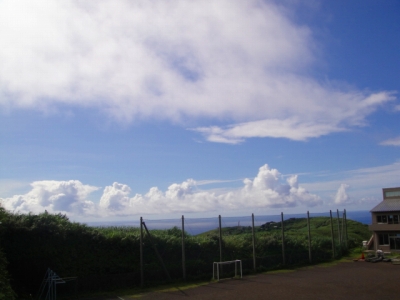 2009-8-21 001.jpg