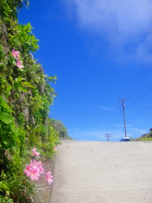 2009-8-29 006.jpg