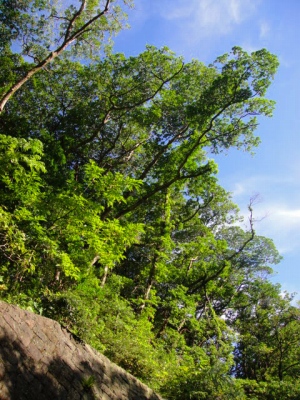 2009-9-10 019.jpg