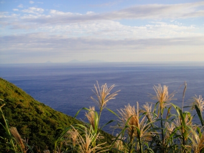 2009-9-11 011.jpg