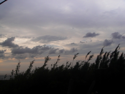 2009-9-13 005.jpg