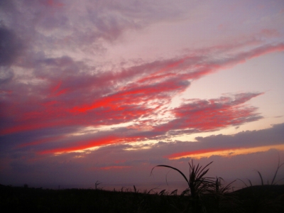 2009-9-13 016.jpg