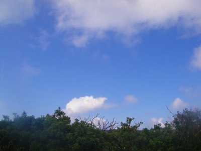 2009-9-16 006.jpg