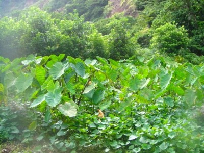 2009-9-17 013.jpg