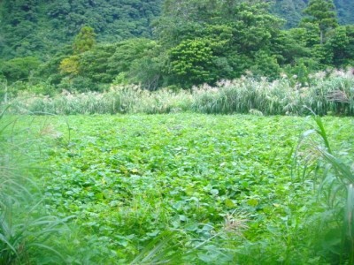 2009-9-17 014.jpg