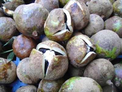 2009-9-21 001.jpg