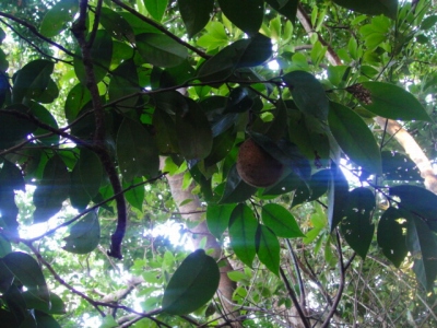 2009-9-21 023.jpg