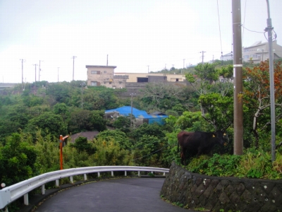 2009-9-24 004.jpg